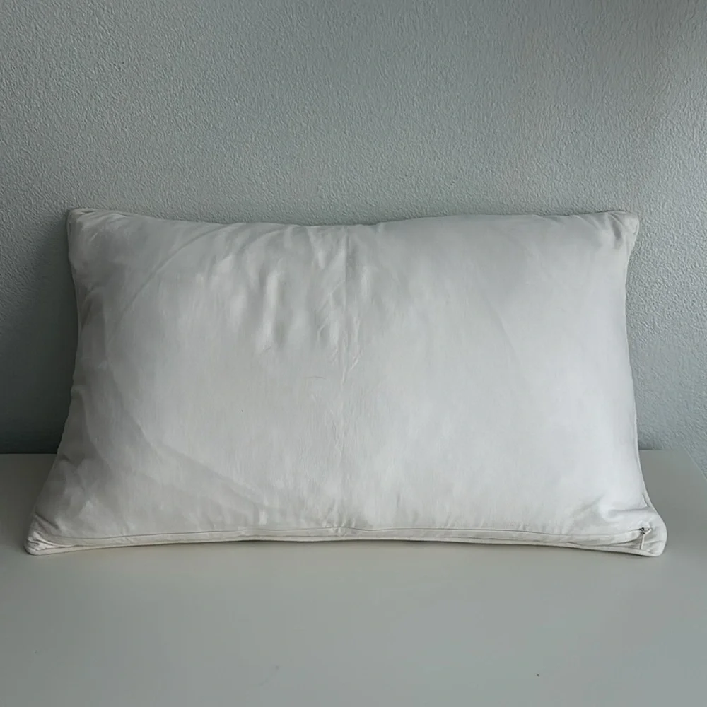 Pottery Barn Embroidered Pillow Cover + Restoration Hardware Pillow